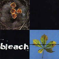 Bleach - Bleach