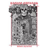 The Raging Nathans - Waste My Heart