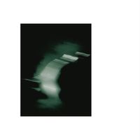 Brian Case - Parallel Voices