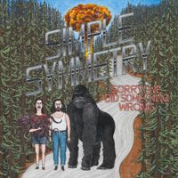 Simple Symmetry - Sorry! We Did Something Wrong