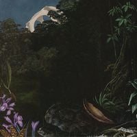 Delta Sleep - The Detail