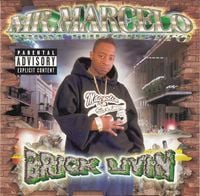 Mr Marcelo - Brick Livin