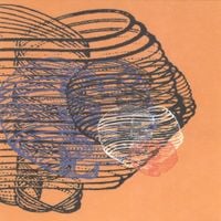 Bardo Pond - Purposeful Availment
