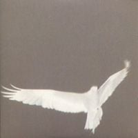 Bardo Pond - Adrop