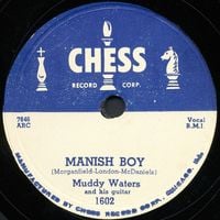 Muddy Waters - Manish Boy