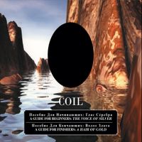 Coil - A Guide for Beginners &ndash; the Voice of Silver | A Guide for Finishers &ndash; a Hair of Gold