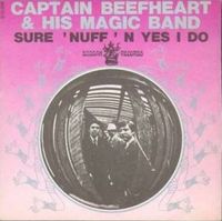 Captain Beefheart - Sure Nuff &lsquo;n Yes I Do