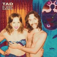 TAD - 8-Way Santa