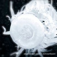 Abandoned Pools - Somnambulist