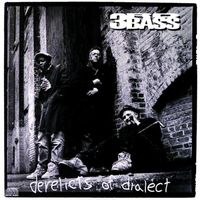 3rd Bass - Derelicts of Dialect