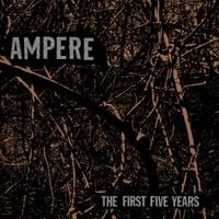 Ampere - The First Five Years
