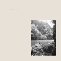 揺らぎ [yuragi] - While My Waves Wonder