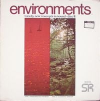 Syntonic Research, Inc. - Environments (Disc 8)