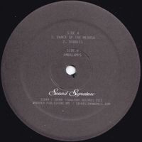 Theo Parrish - Dance Of The Medusa
