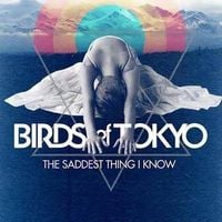 Birds of Tokyo - The Saddest Thing I Know