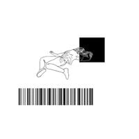 Birds Fear Death - Hospital Songs