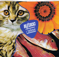 Buzzcocks - I Believe