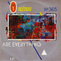 Buzzcocks - Are Everything | Why She's a Girl from the Chainstore