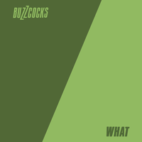 Buzzcocks - What Do I Get?