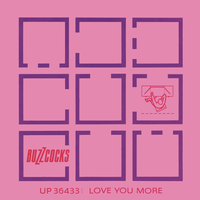 Buzzcocks - Love You More