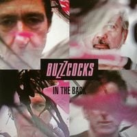 Buzzcocks - In the Back