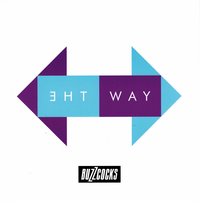 Buzzcocks - The Way
