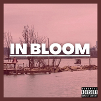 Lil Squeaky - In Bloom