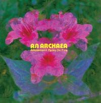 Amusement Parks On Fire - An Archaea