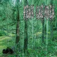 Fern Treader - Fern Treader