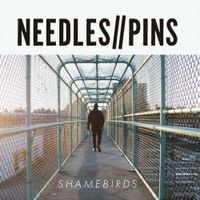 Needles//Pins - Shamebirds