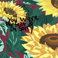 Mickey Darling - You Were Perfect & I'm Sorry