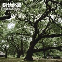 Noel Gallagher's High Flying Birds - The Dying Of The Light