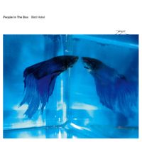 People In The Box - Bird Hotel