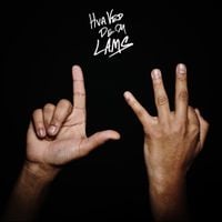 Lamin - Hva ved de om Lams