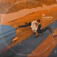 The Goldeneyes - A Strange Moment in Time