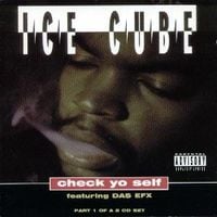 Ice Cube - Check Yo Self