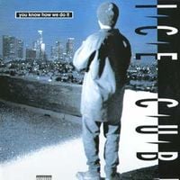Ice Cube - You Know How We Do It