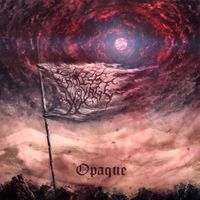 Endless Voyage X - Opaque