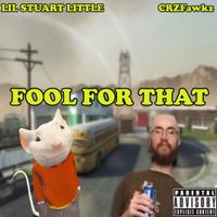 Lil Stuart Little - Fool For That