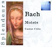 Cantus Cölln - Motets