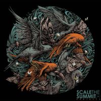 Scale The Summit - Subjects