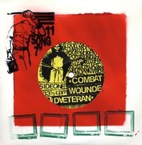 Combatwoundedveteran - 11 Song 7"