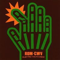 Reversal of Man / Combatwoundedveteran - Electric Youth Crew