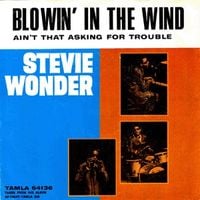 Stevie Wonder - Blowin' in the Wind