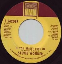 Stevie Wonder - If You Really Love Me