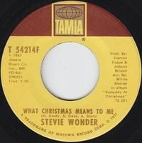 Stevie Wonder - What Christmas Means to Me