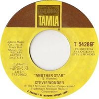 Stevie Wonder - Another Star