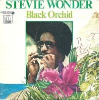 Stevie Wonder - Black Orchid