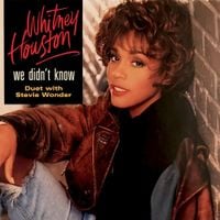 Whitney Houston & Stevie Wonder - We Didn&rsquo;t Know