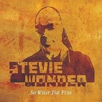 Stevie Wonder - So What the Fuss